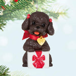 Puppy Love Poodle 2024 Hallmark Keepsake Ornament