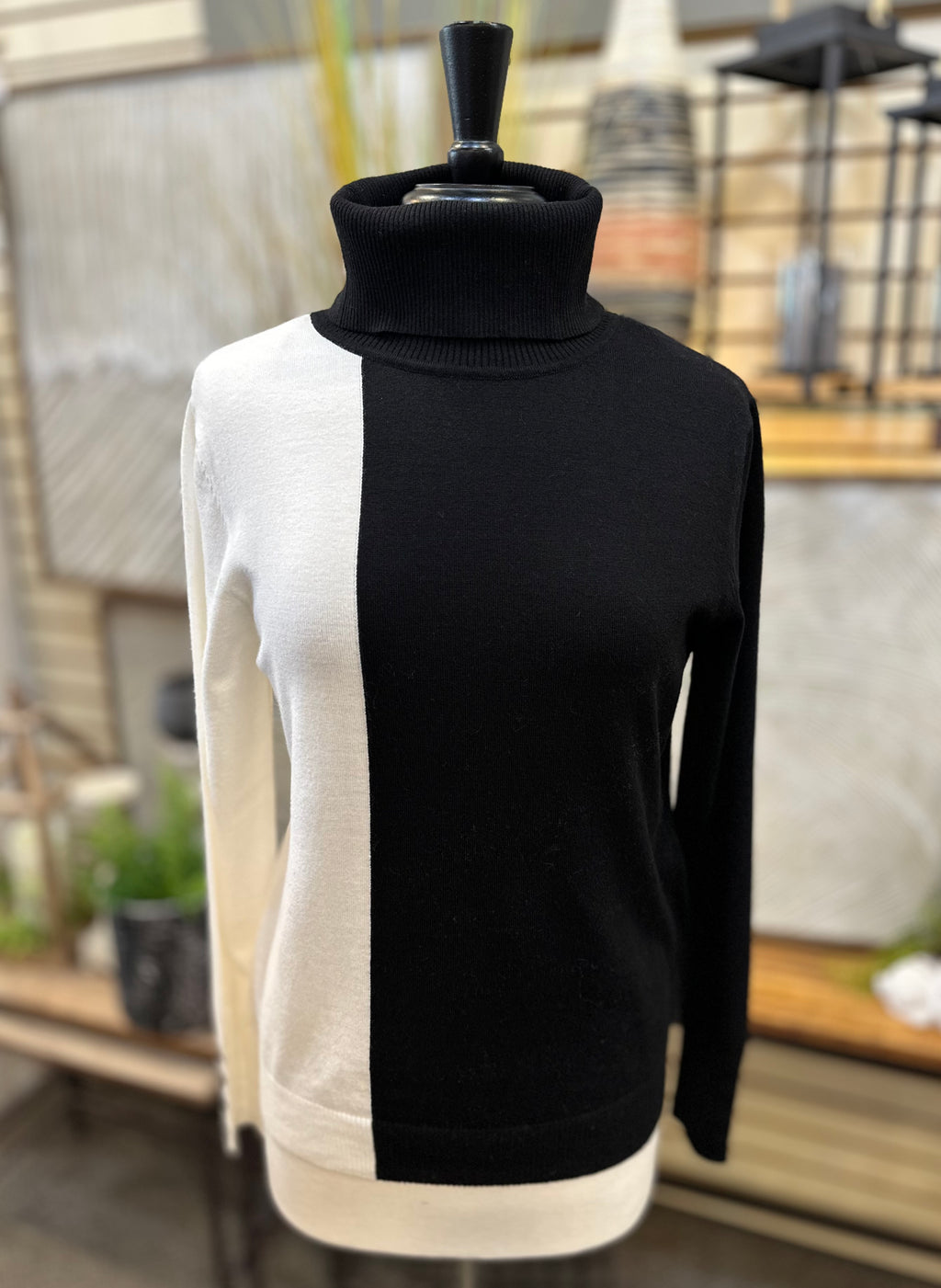 Keren Hart Colorblock Turtleneck Sweater